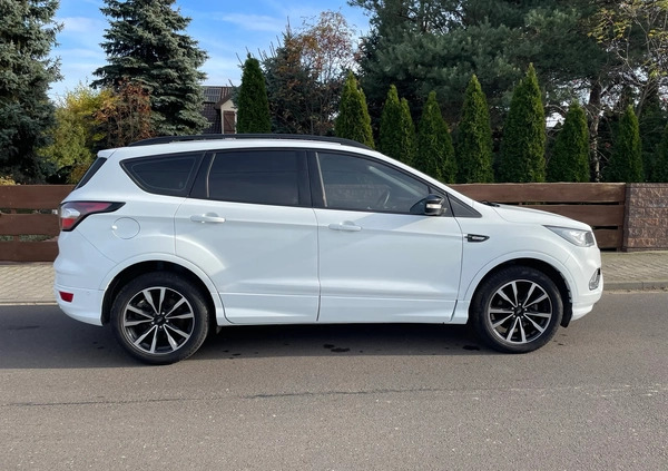 Ford Kuga cena 69799 przebieg: 118300, rok produkcji 2019 z Mszczonów małe 106